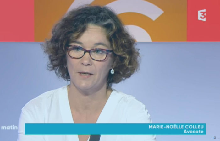 Interview de Marie Noëlle Colleu : droit et télétravail